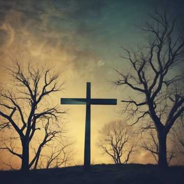 Image for My cross to Bear