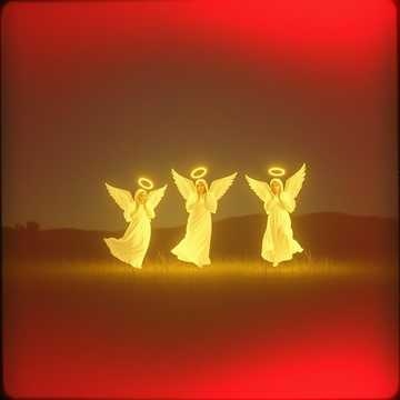 Image for Cajun Christmas