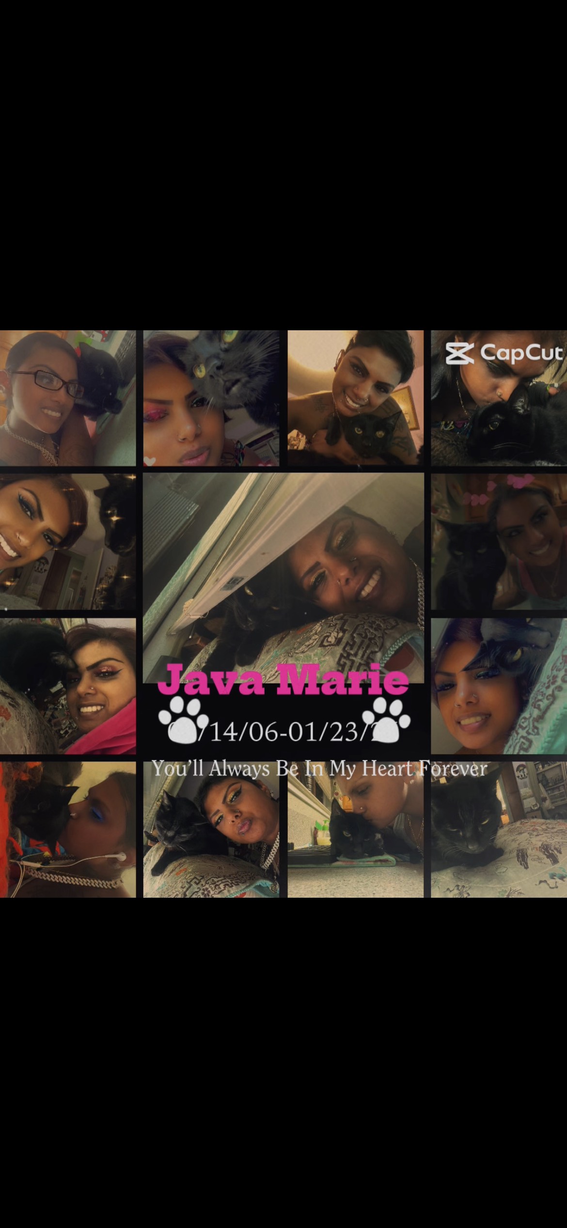 Java Marie RIP 01/23/26 by: Java’s Mommy artwork