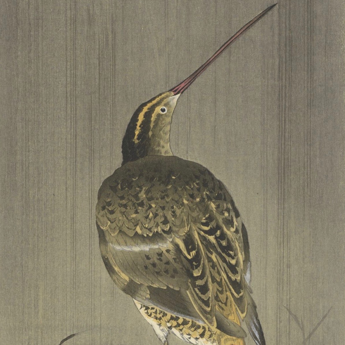 Sandpiper artwork