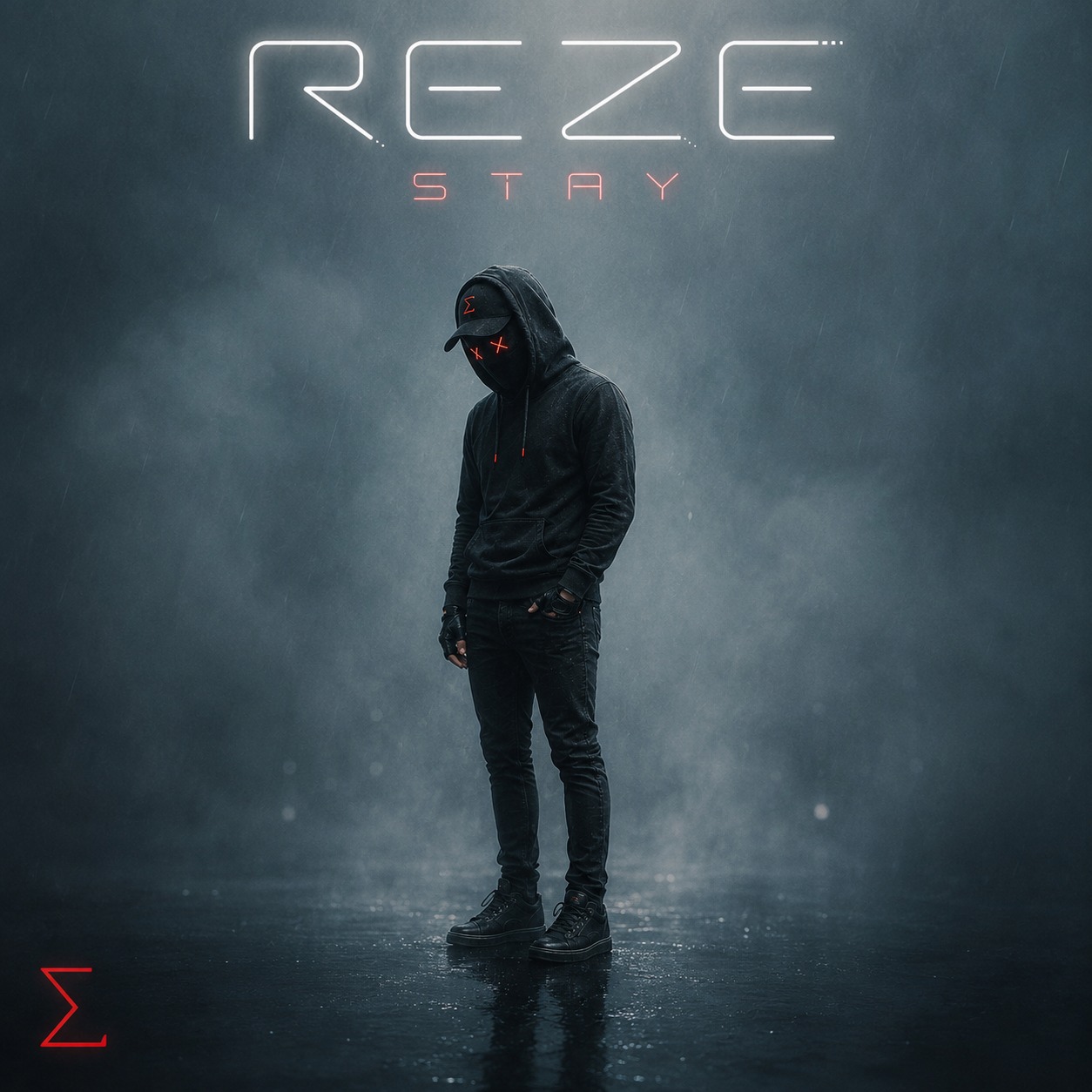Stay artwork