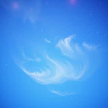 Image for  Tupuarangi:  Star of the Forest