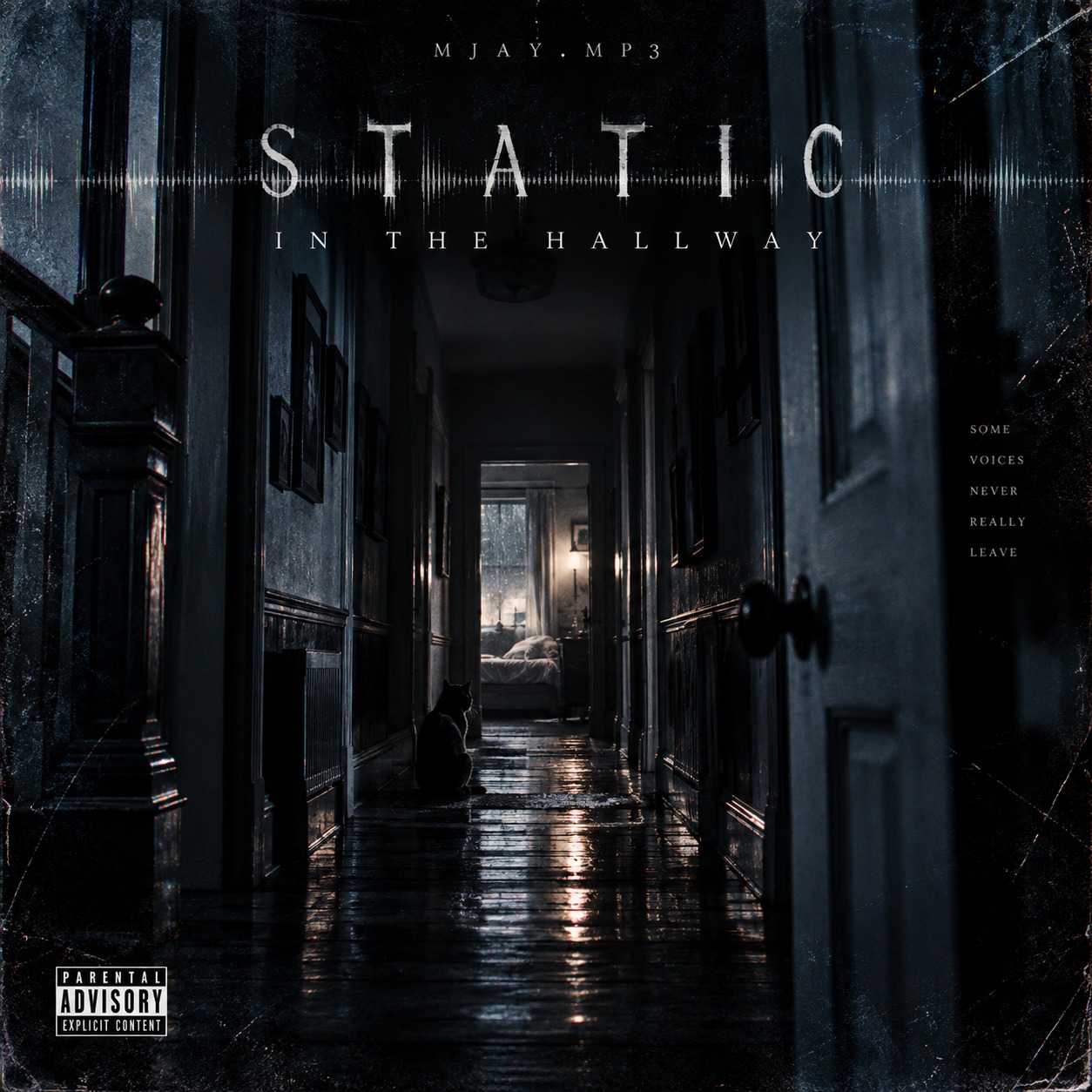 Static in the Hallway artwork
