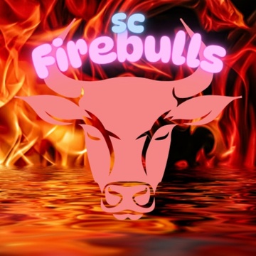 Image for SC Firebulls