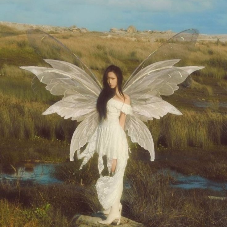 Image for Daydreamin'