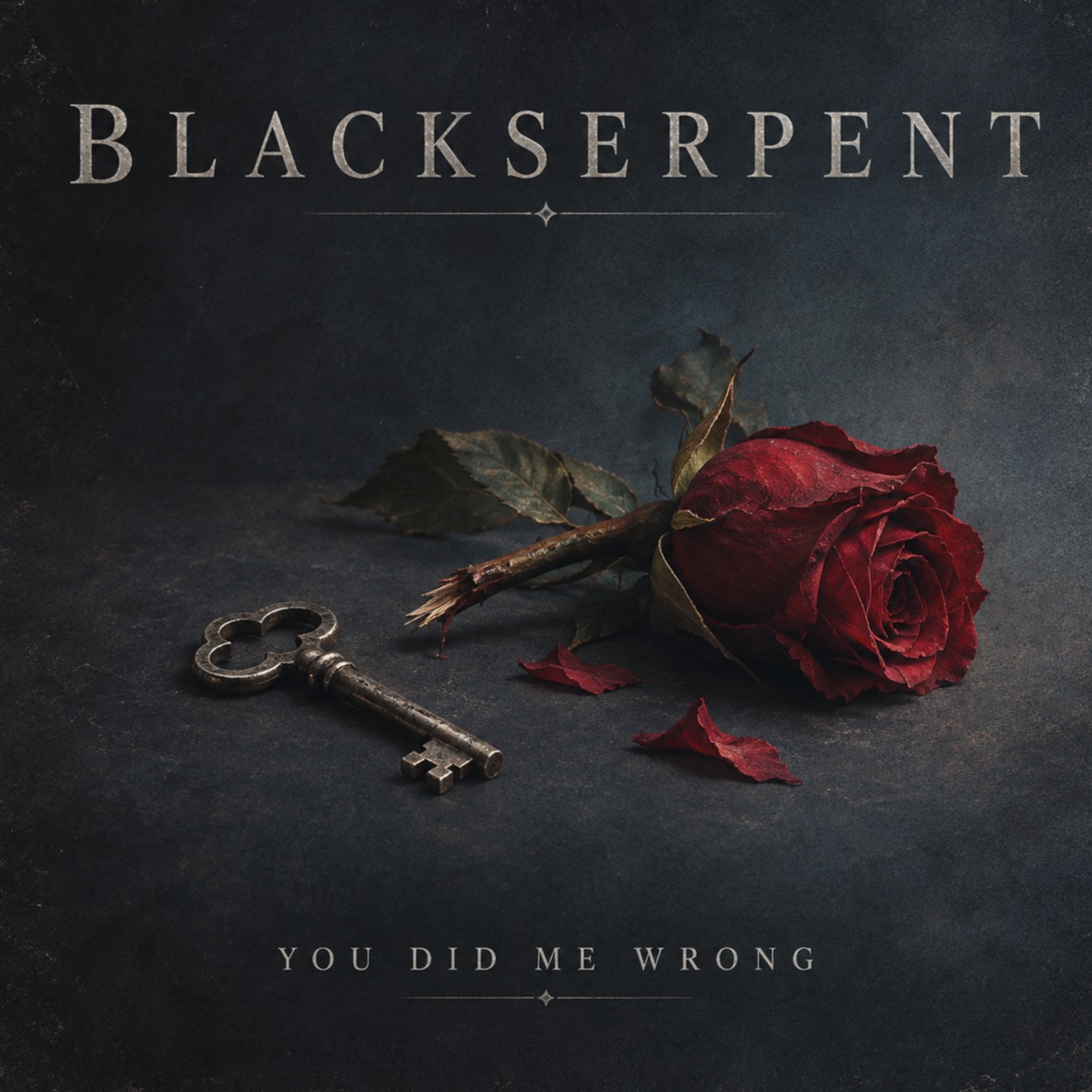 You Did Me Wrong artwork