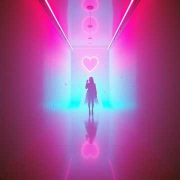 Image for Poyn Setters