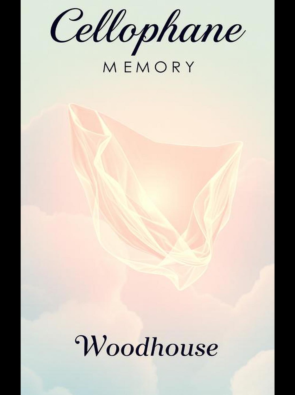 Cellophane Memory - Original artwork