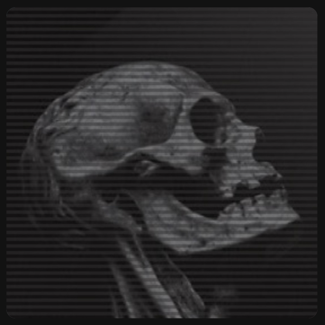 Profile picture for Collected Hearts