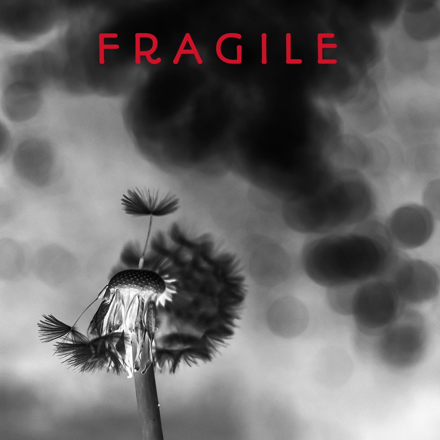 Fragile (Cover) artwork