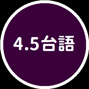 Image for 4.5版台語歌曲