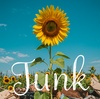 Junk