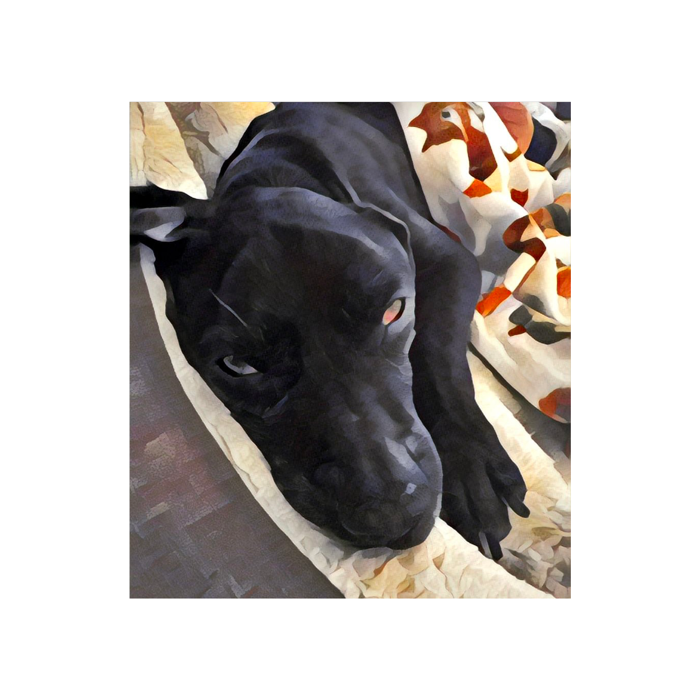 🎵 “Wednesday (The Bay Bridge Puppy ( Heart Songs by Dr. Ken) artwork