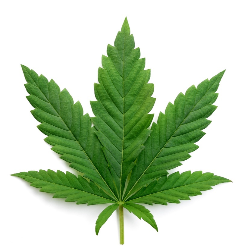 Image for Coffee and ganja 