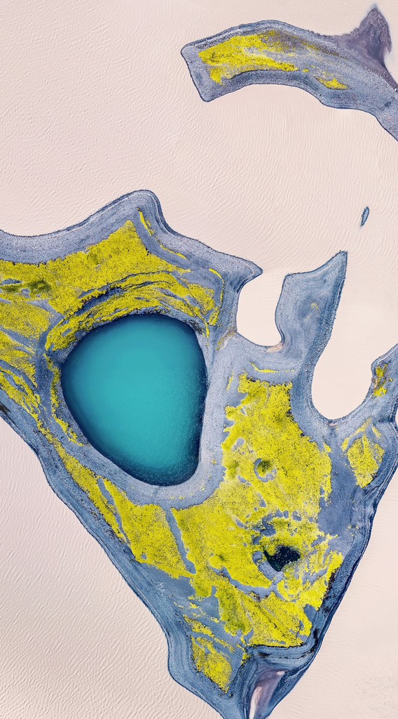 Image for 『種の分岐』species divergence” 