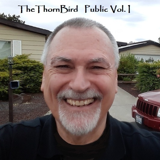 Image for TheThornBird Public Vol. 1