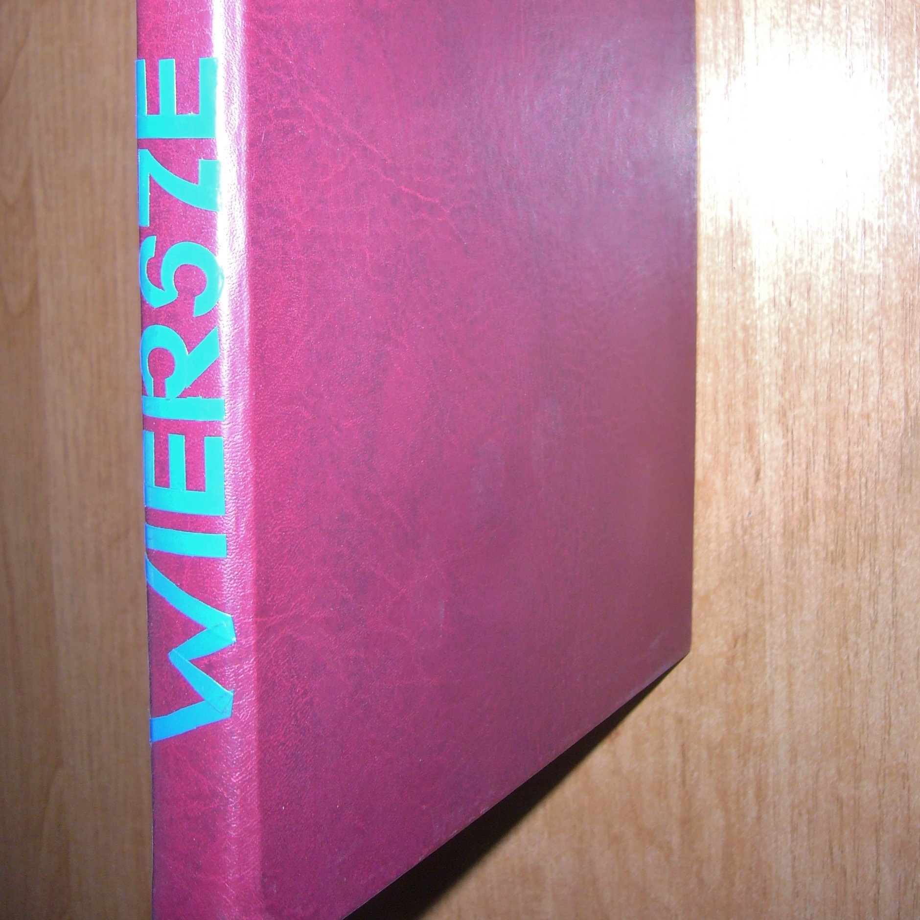 Image for 2024 Hypnotizing Zen 