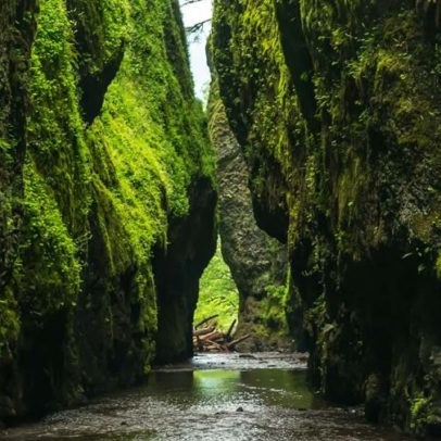 Image for The Movie Soundtracks