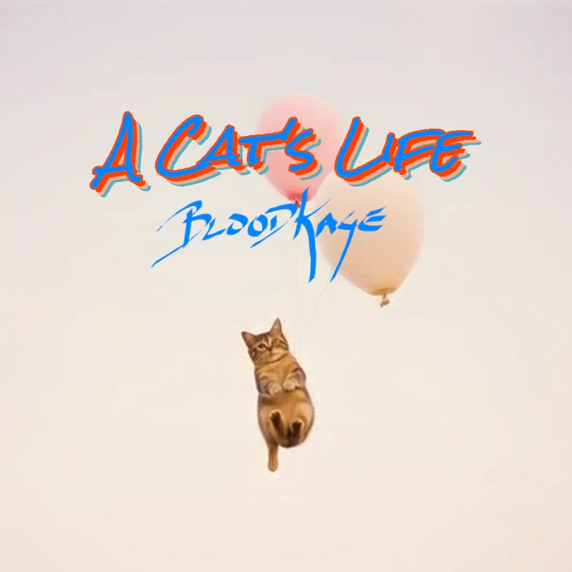 Image for A Cat's Life