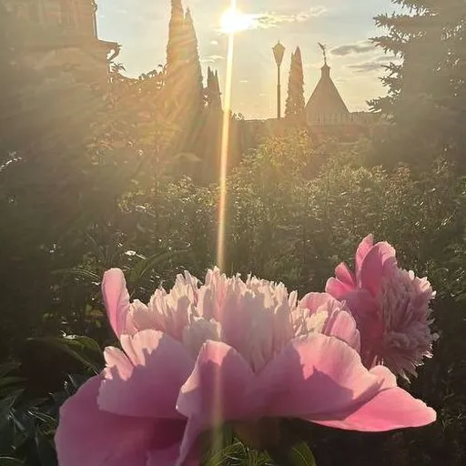 Profile picture for Nataly Nataly