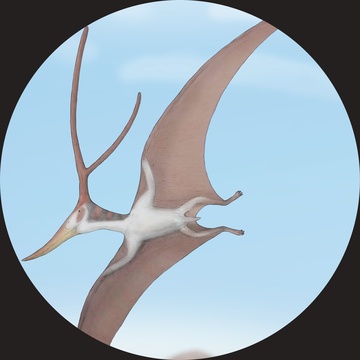Image for Paleo-raps: Volume 8