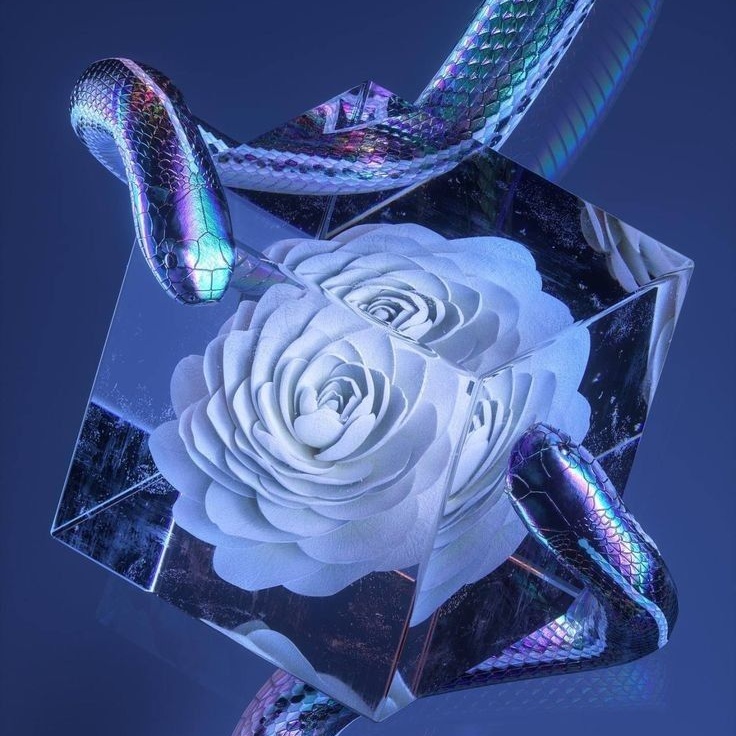 Image for 'SnakeBite'  <>  MOONLİGHT ALBUM 1