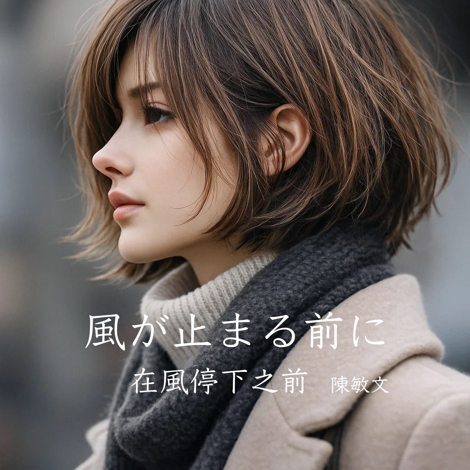 Image for 風が止まる前に / 在風停下之前