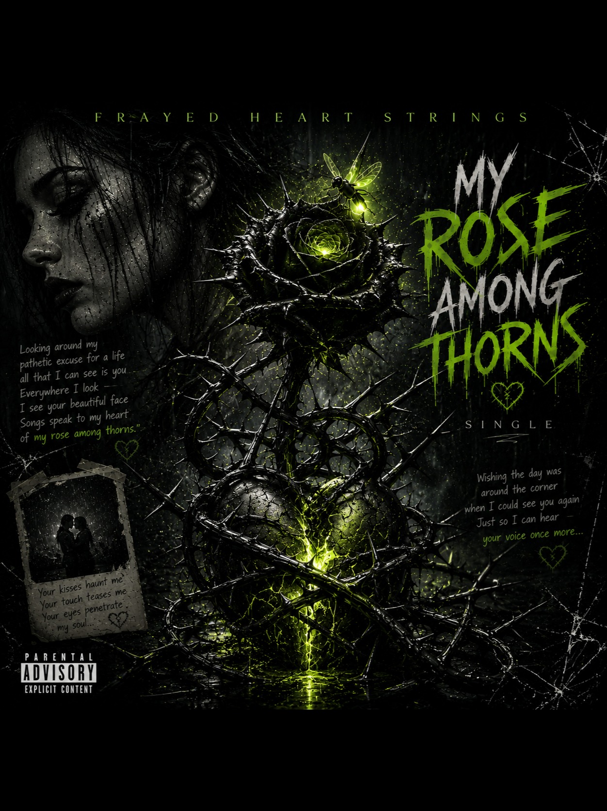 My Rose Among Thorns artwork