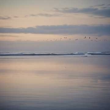 Image for "Abstracto"  (español)