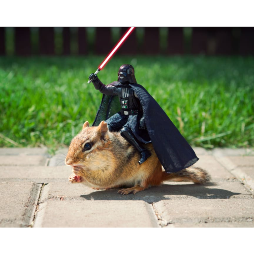 Persona image for Untitled Persona