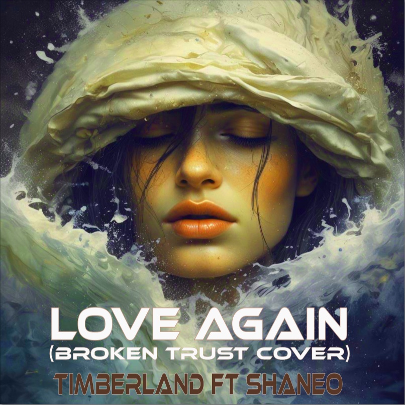 Image for TIMBERLAND - LOVE AGAIN