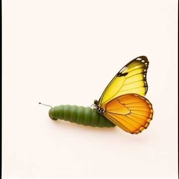 Image for My Life Lessons