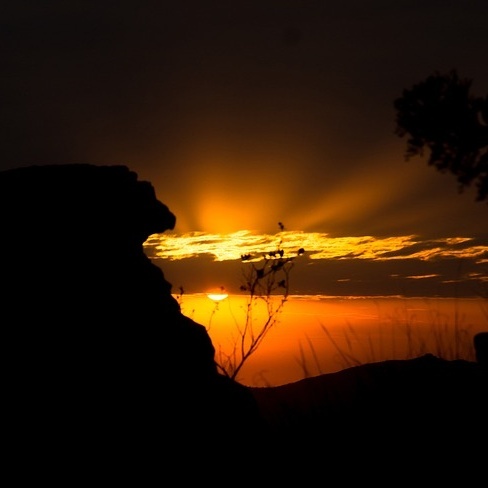 Image for Seriously, who knew. 