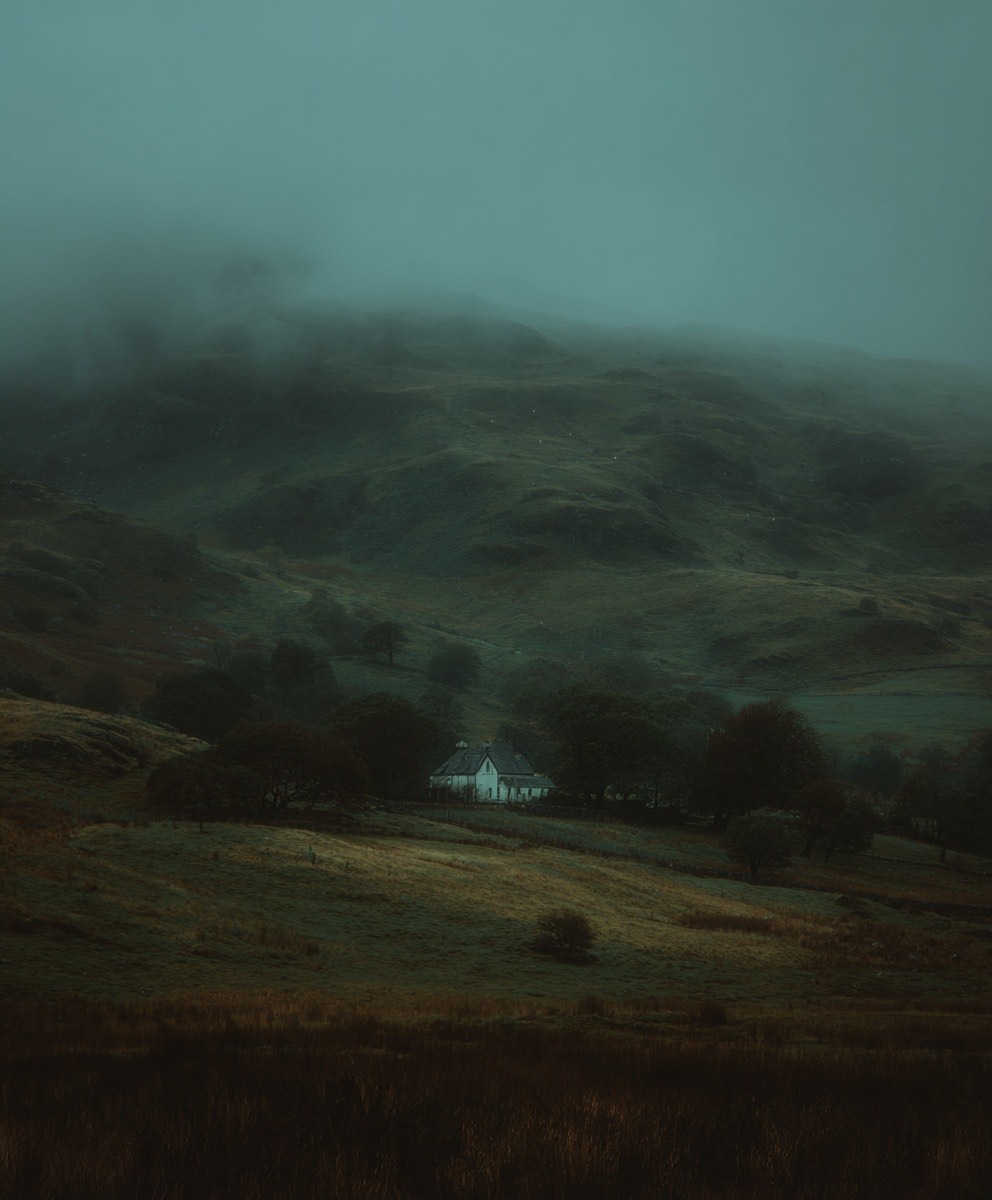 Image for Wuthering heights 