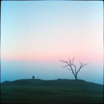 Image for Mysticism, dreams, fantasies