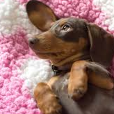 Persona image for lilah carraway