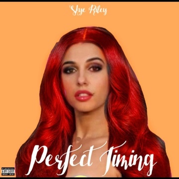 Image for Skye Riley - Perfect Timing (Redux)