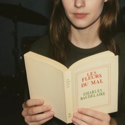 Image for Les Fleurs du Mal - Charles Baudelaire