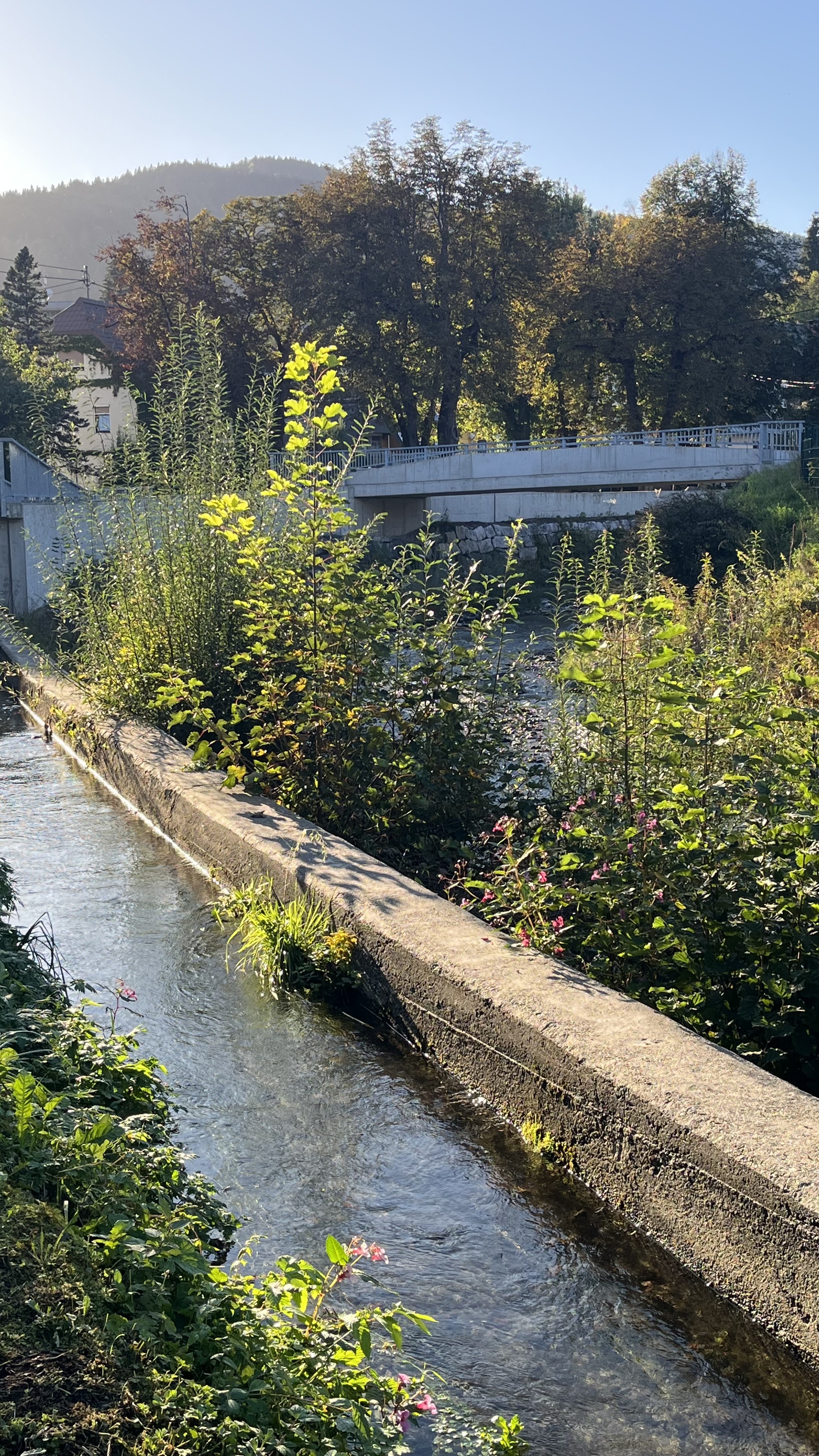 Am Mühlbachweg artwork