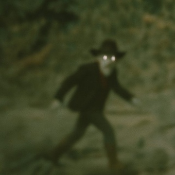 Image for The Hunt for Cotton Eye Joe