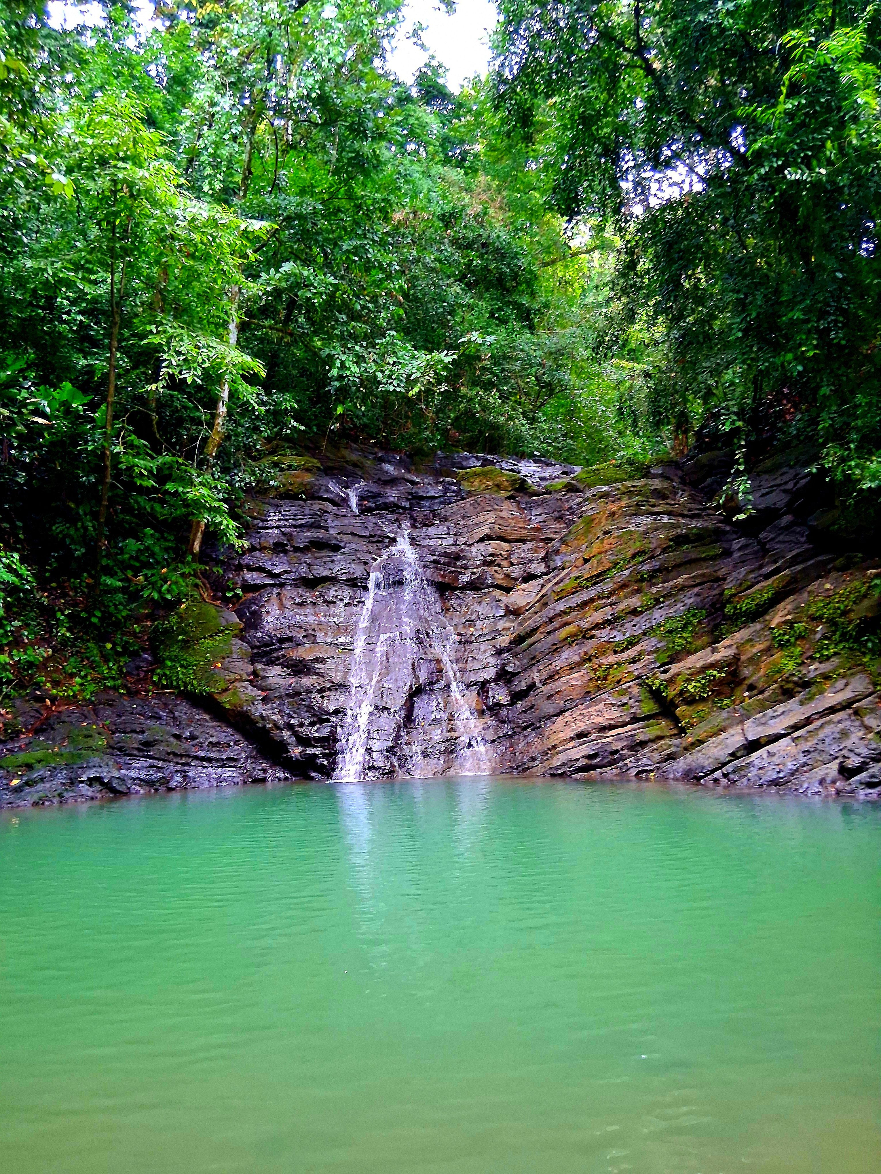 Image for Dedicating Album 