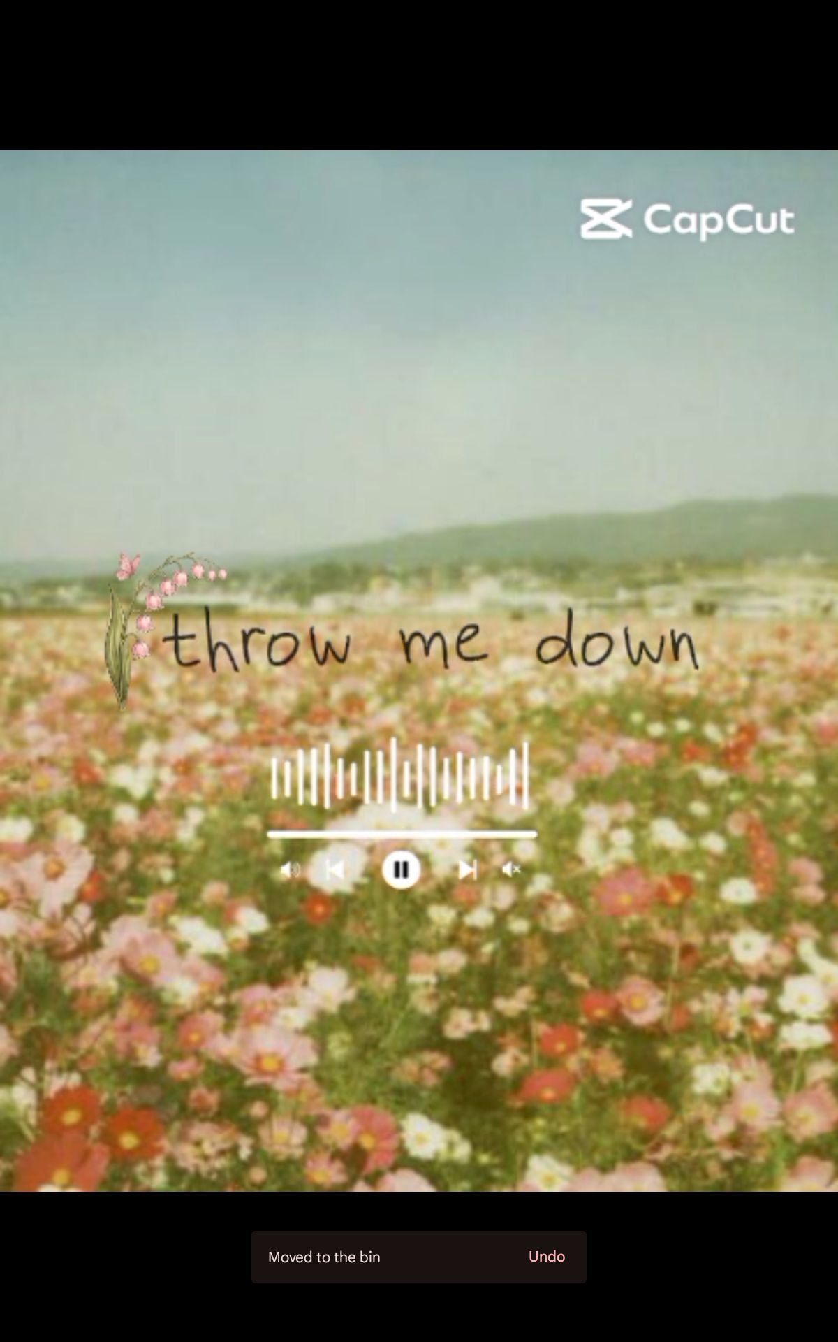 throw me down artwork