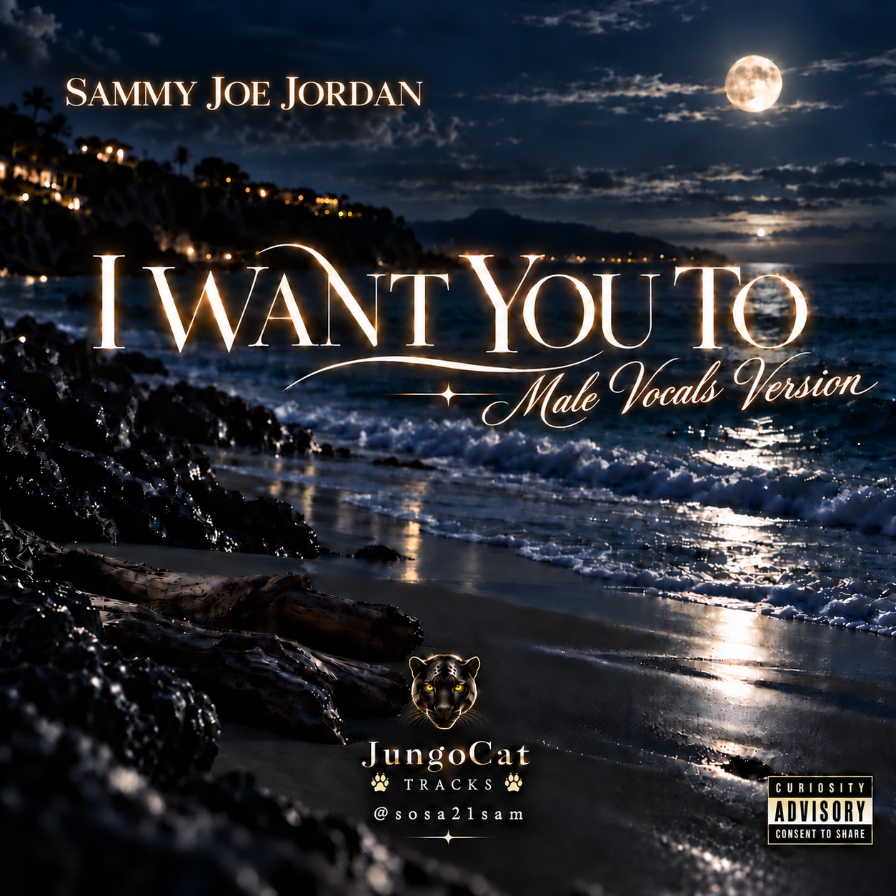 I WANT YOU TO (male vocals version) artwork