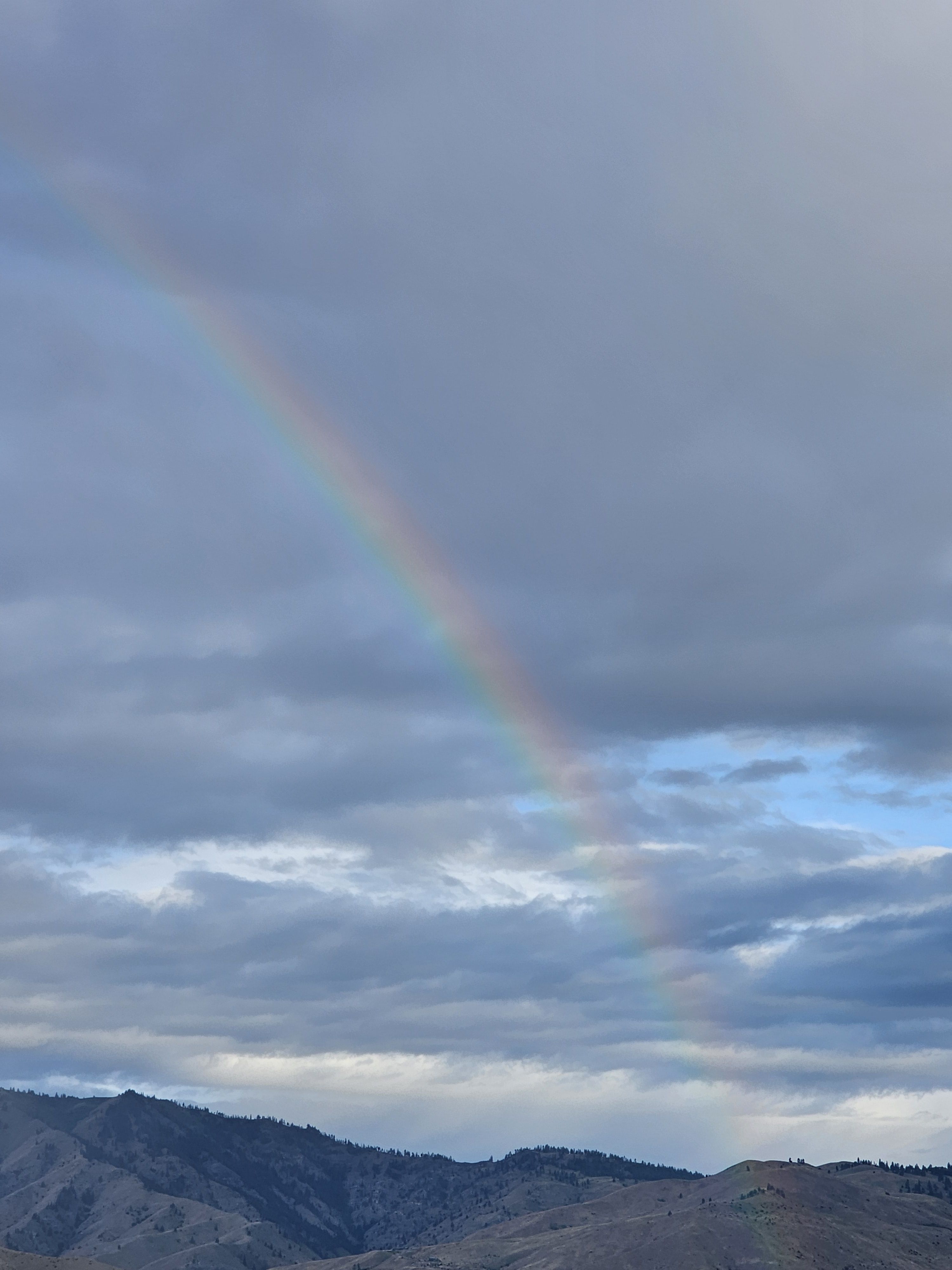 My Rainbow in the Storm artwork