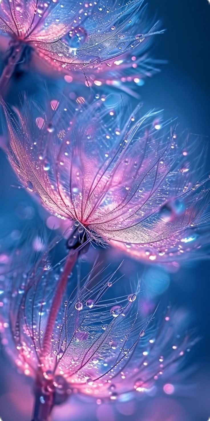 A.S.S:Tenderness .Deep House. Trance music. Classic. 105 artwork