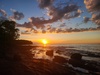 Rock Beach Reverie