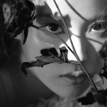 Image for Loves Echo