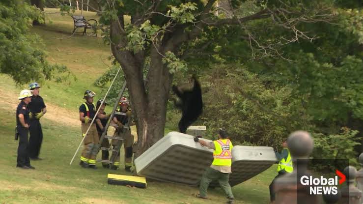 Image for Random Songs