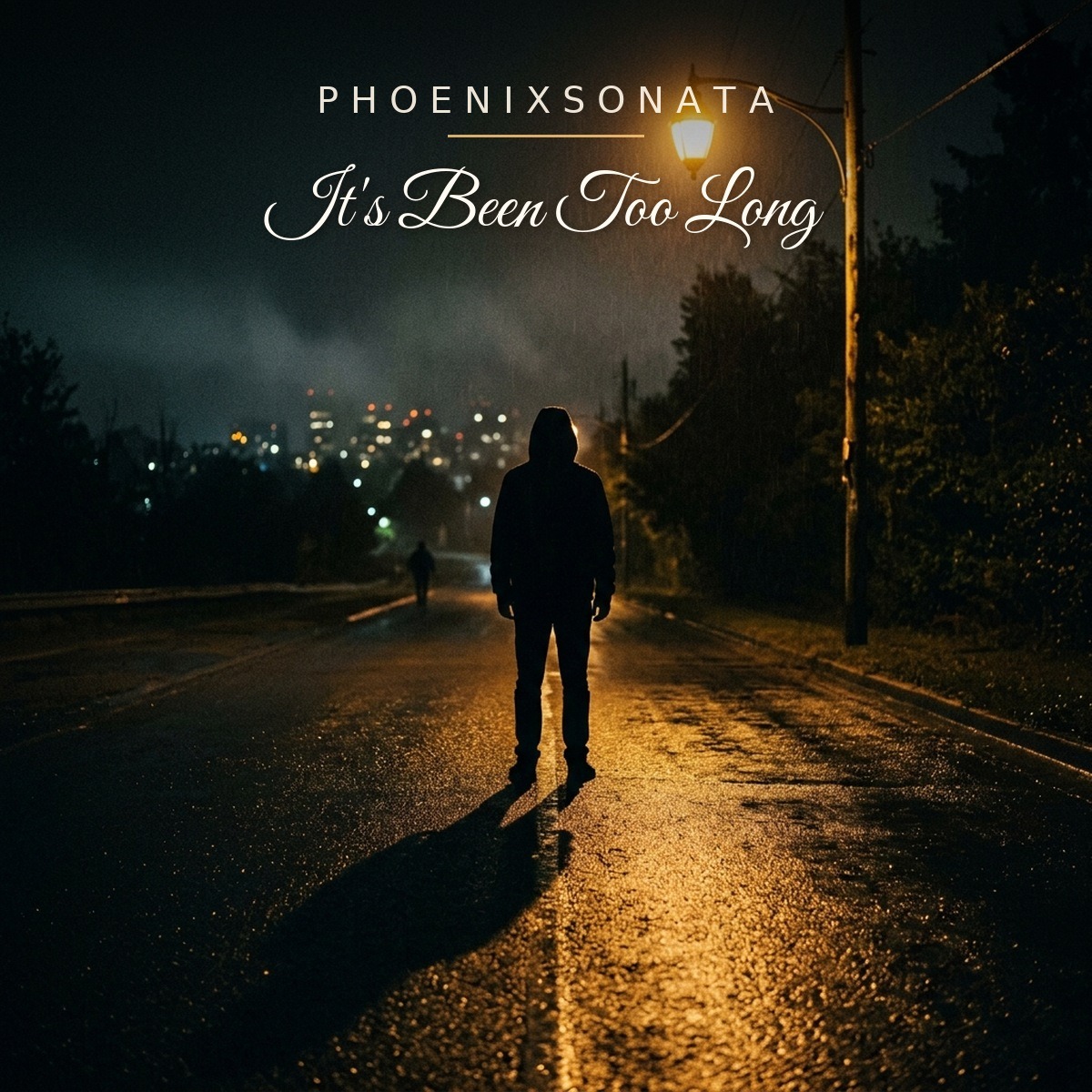 PhoenixSonata - It’s been too long artwork