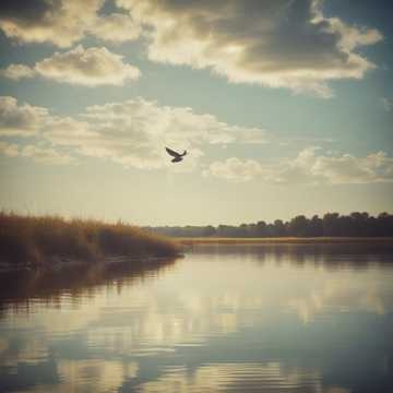 Image for Reflections of Light